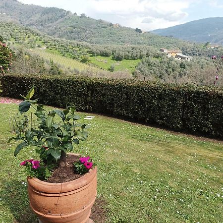 Villa Camelia Tuscany Πέσια Εξωτερικό φωτογραφία