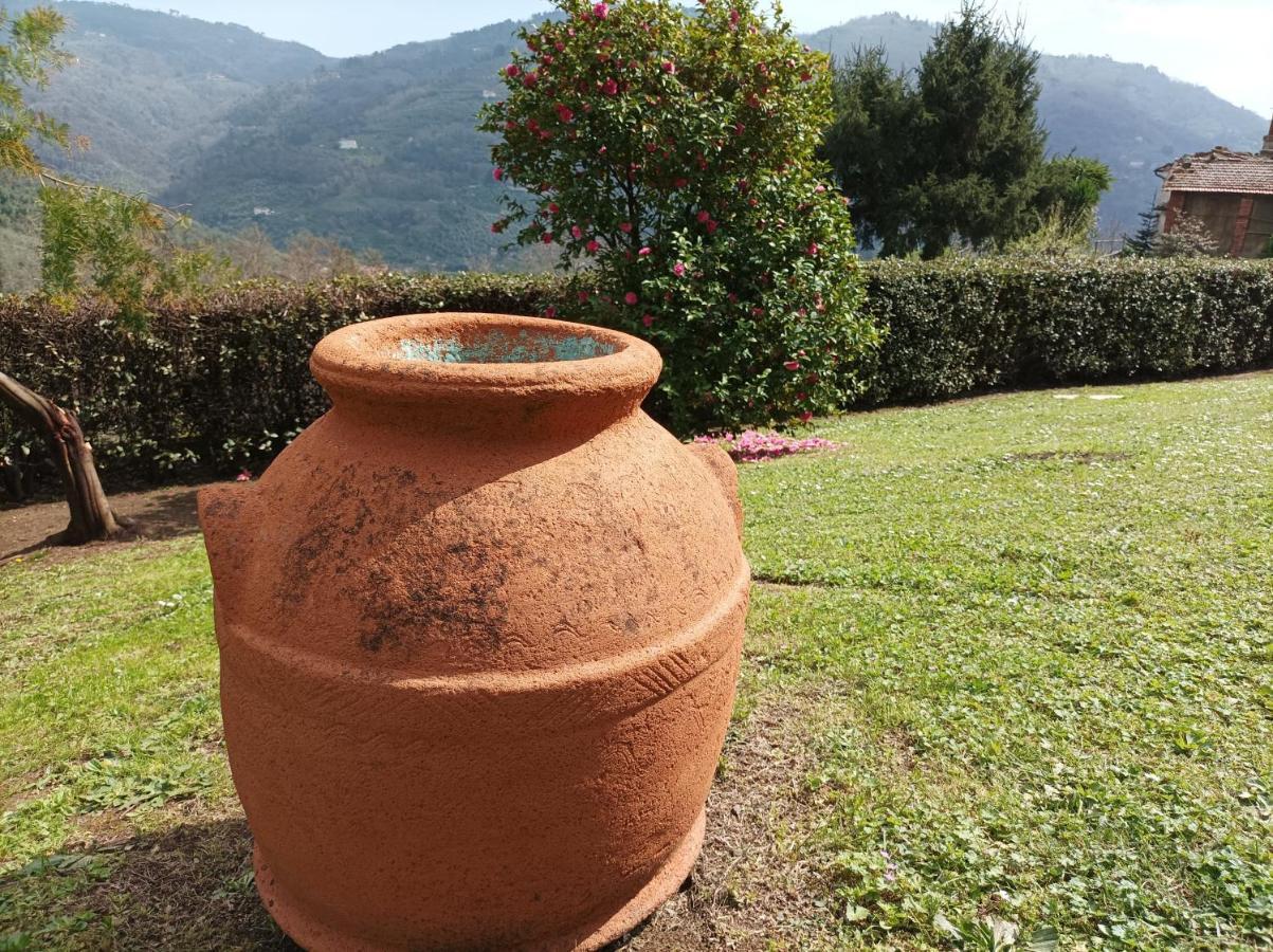 Villa Camelia Tuscany Πέσια Εξωτερικό φωτογραφία