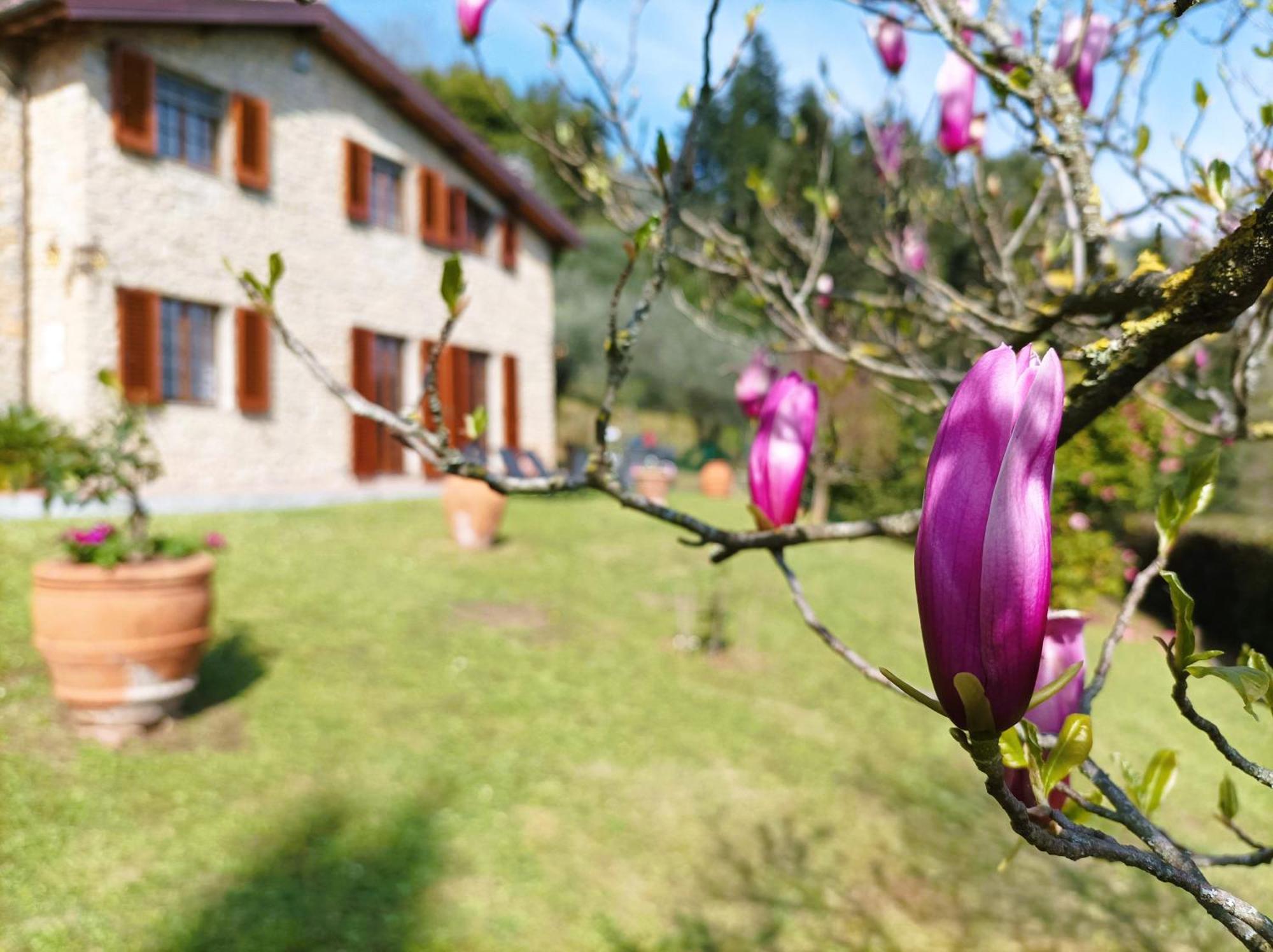 Villa Camelia Tuscany Πέσια Εξωτερικό φωτογραφία